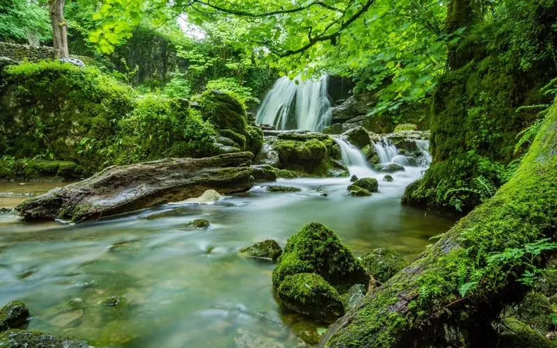 高标准高质量高质量